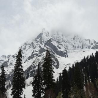 Srinagar